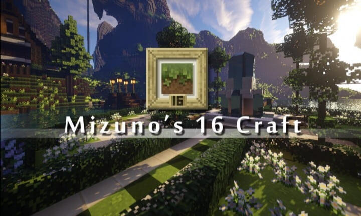 Mizuno 16 Craft